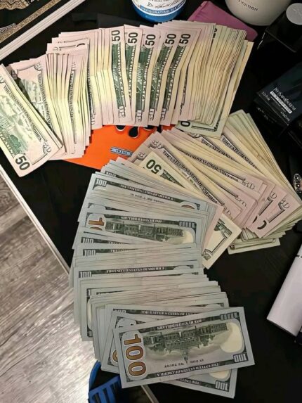 Dive into the world of novelty!